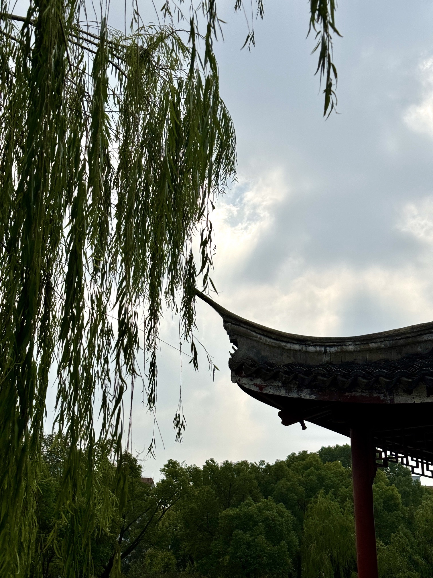 淞南公园旅行图片 2