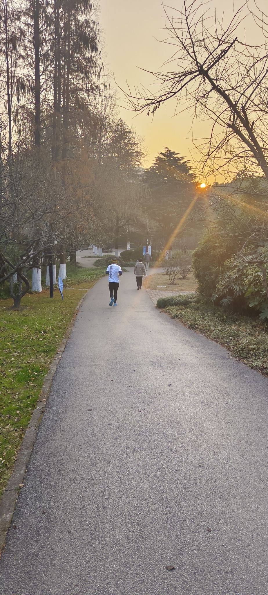 友谊公园旅行图片 1