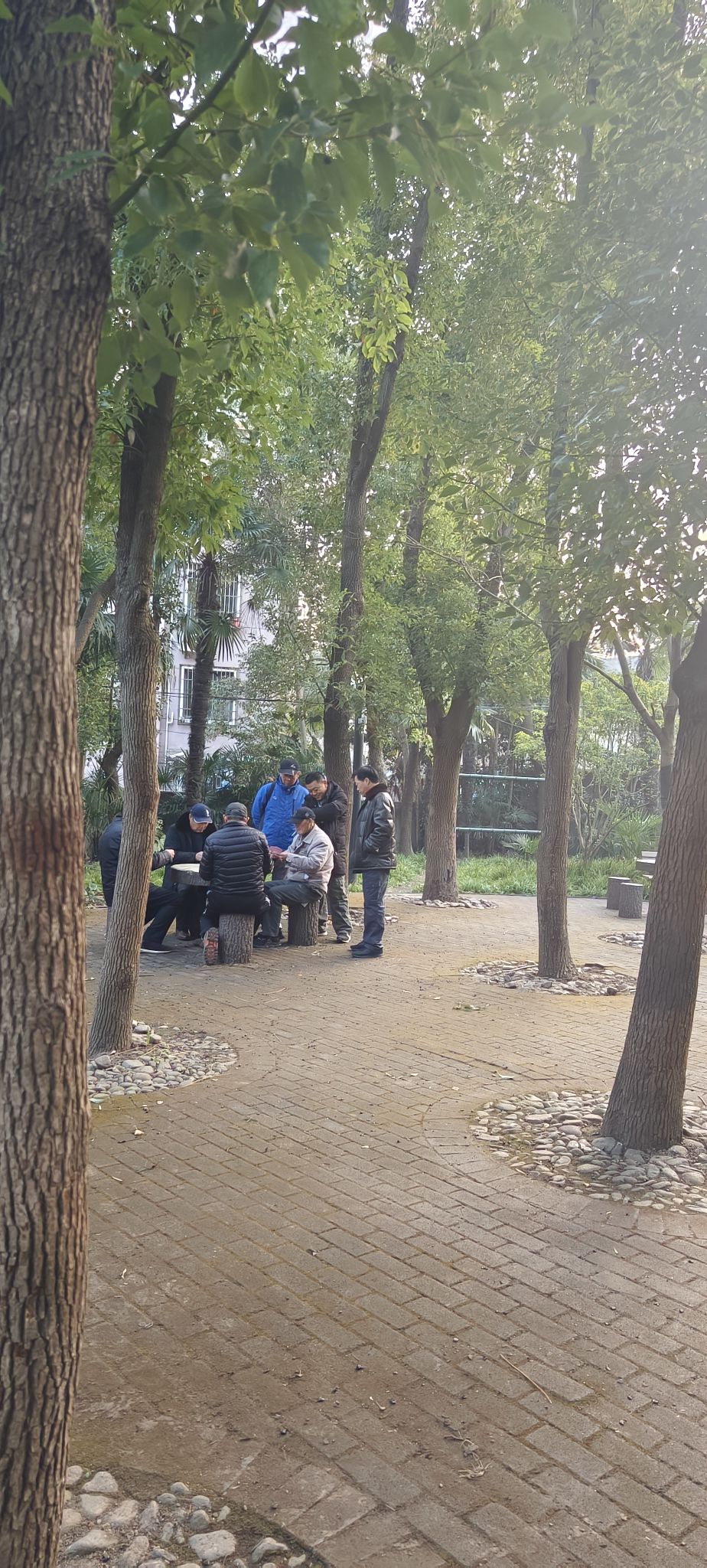友谊公园旅行图片 3