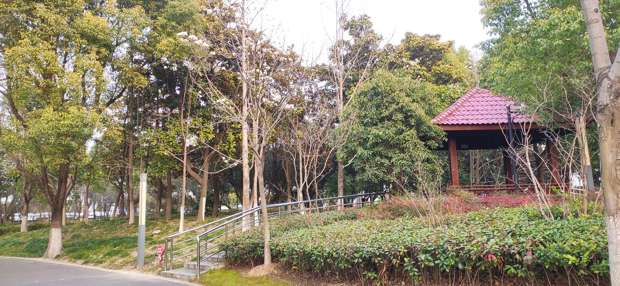 华漕公园旅行图片 2