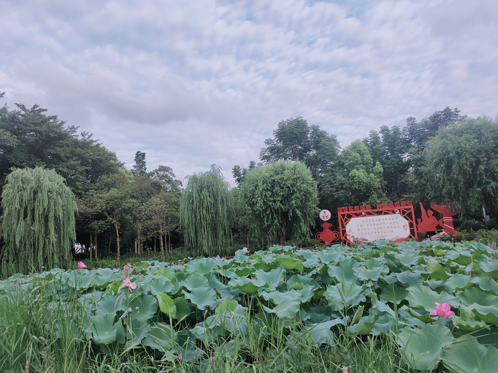 华漕公园旅行图片 3