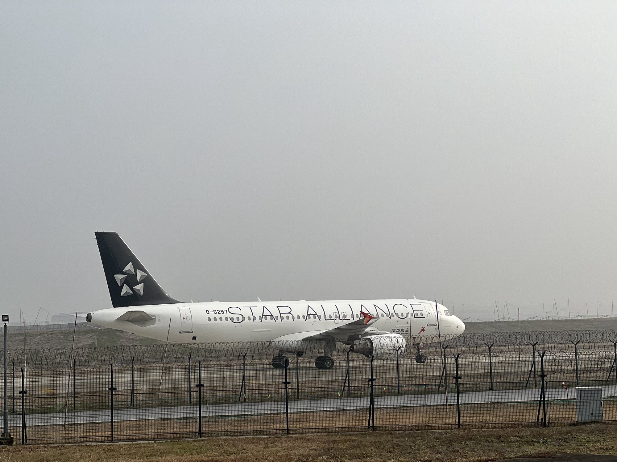 华漕公园旅行图片 3