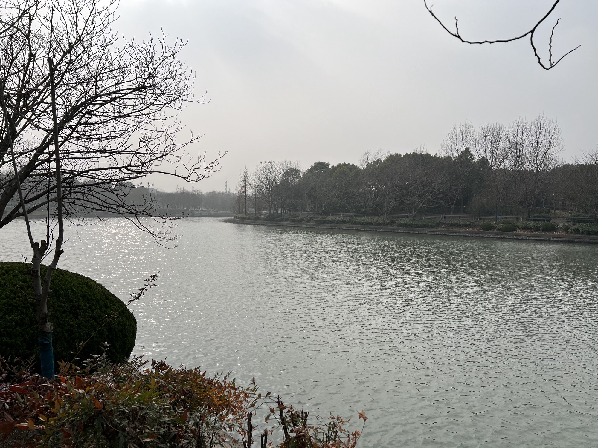 华漕公园旅行图片 1