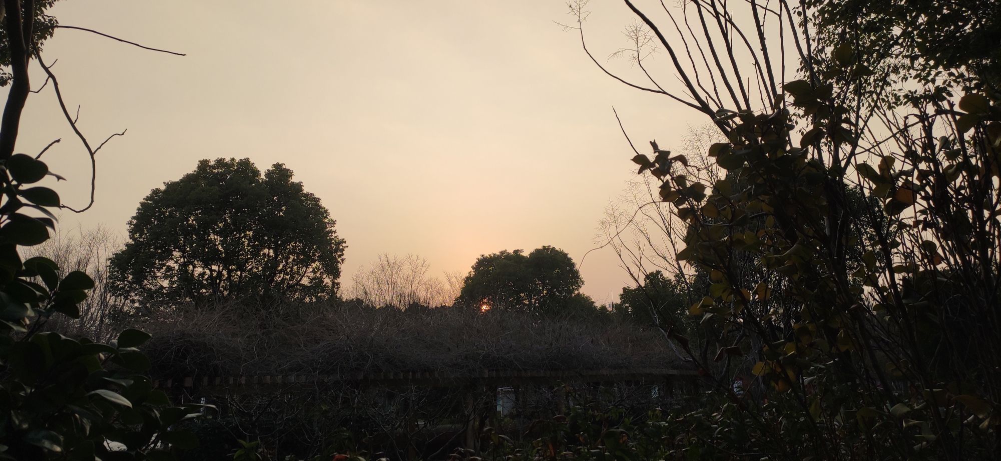 华漕公园旅行图片 3
