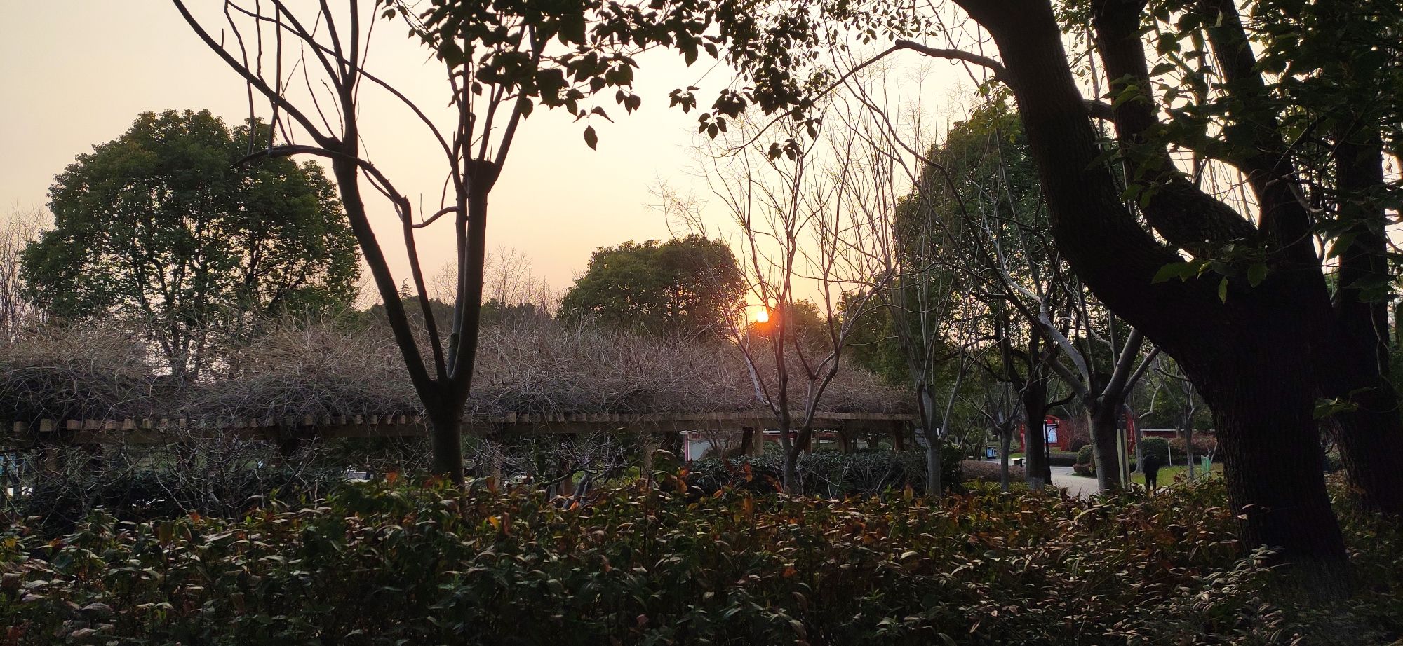 华漕公园旅行图片 1