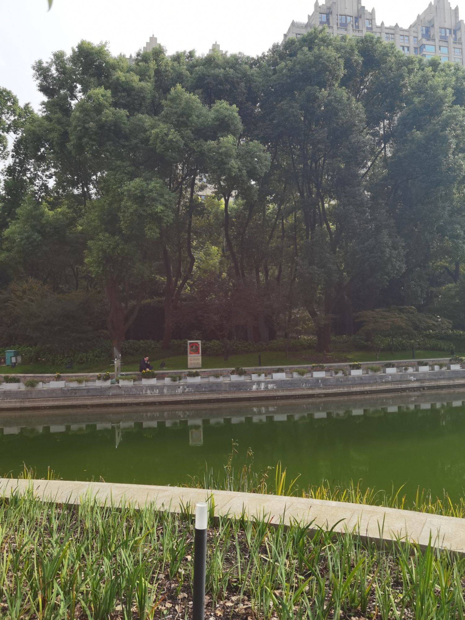 太平桥公园旅行图片 1