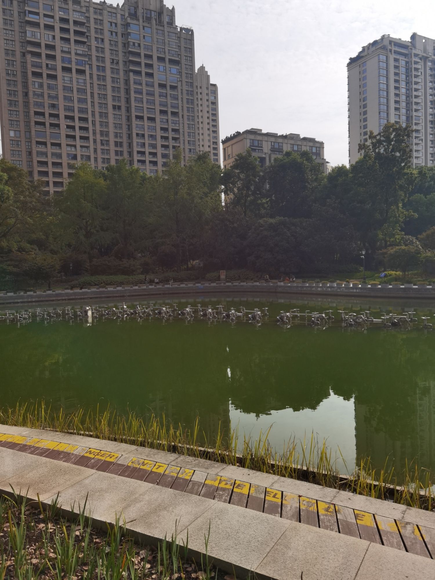 太平桥公园旅行图片 3