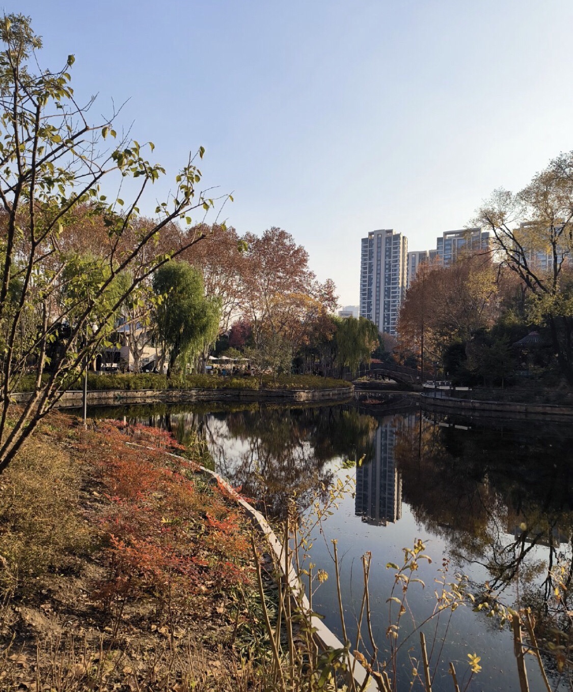 上海和平公园旅行图片 1
