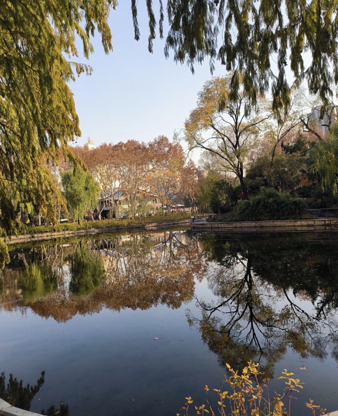 上海和平公园旅行图片 2