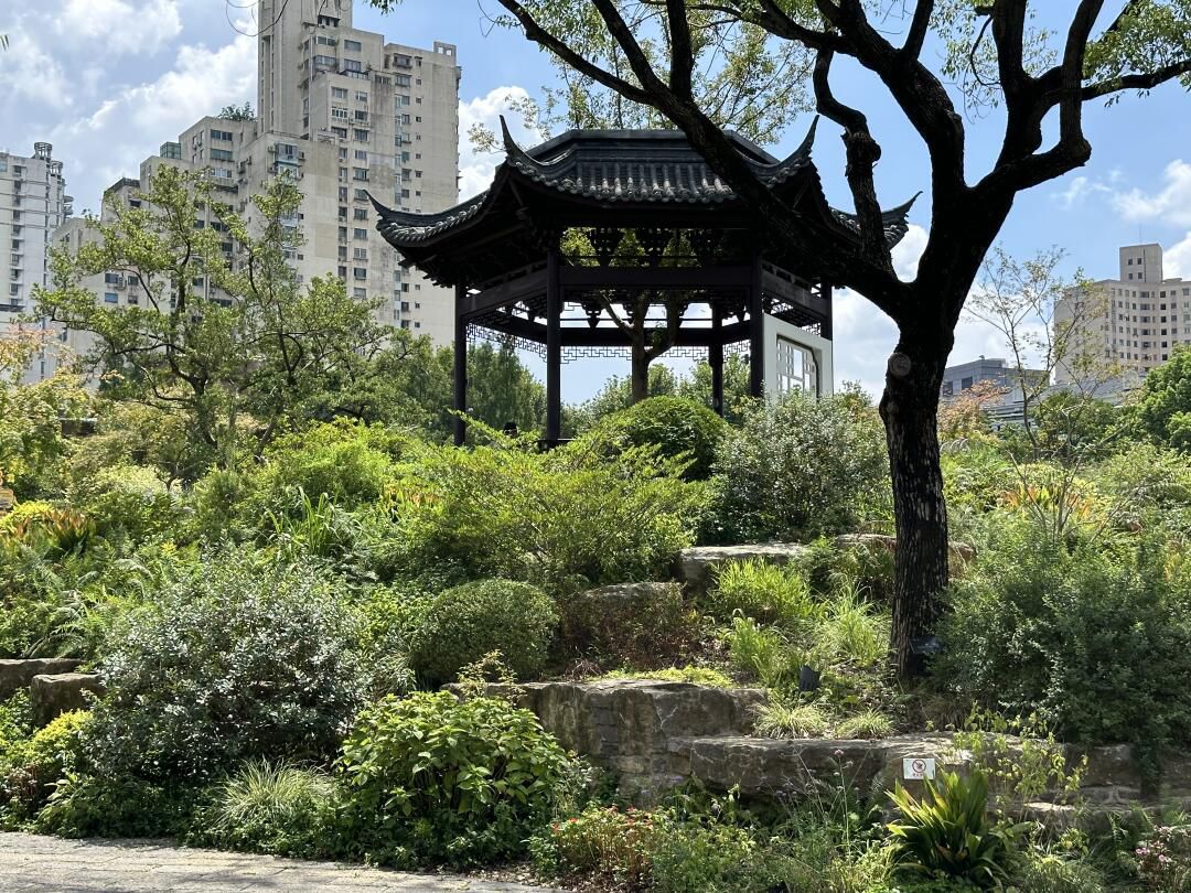 上海和平公园旅行图片 3