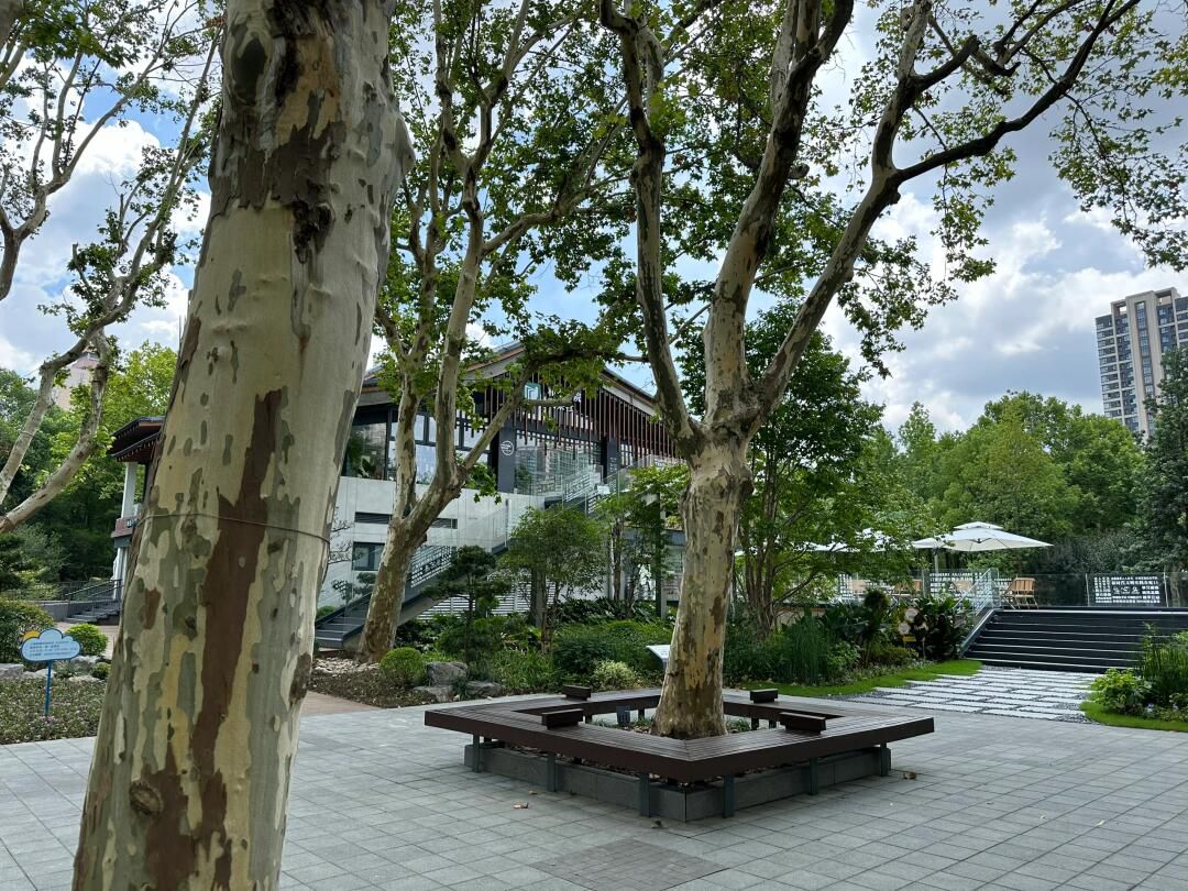 上海和平公园旅行图片 2