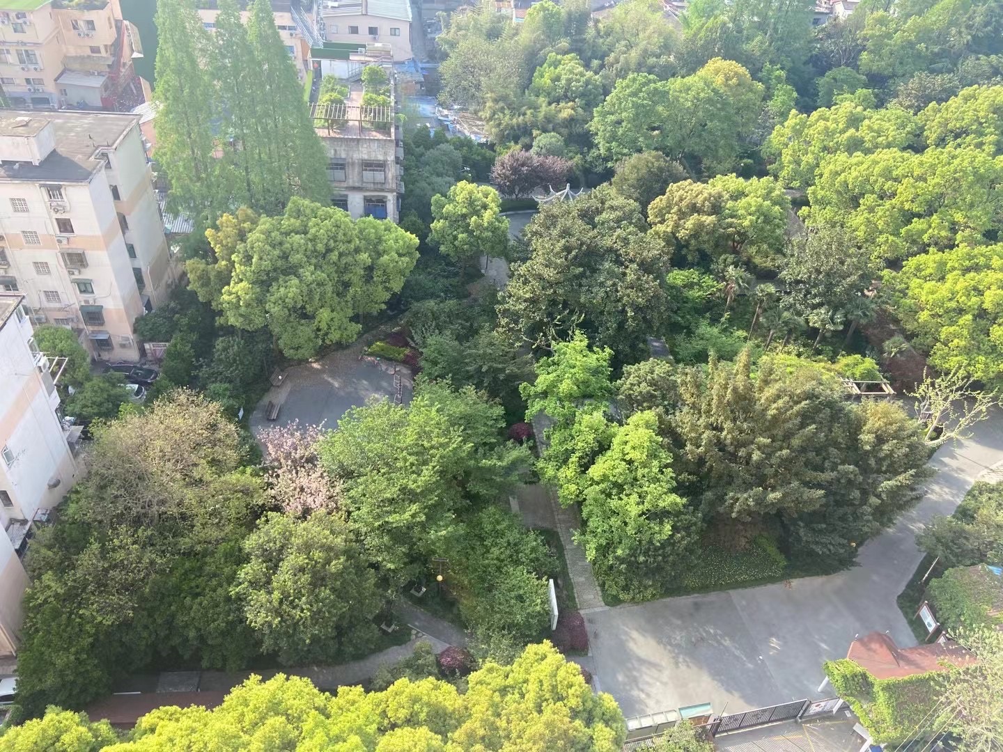 平凉公园旅行图片 2