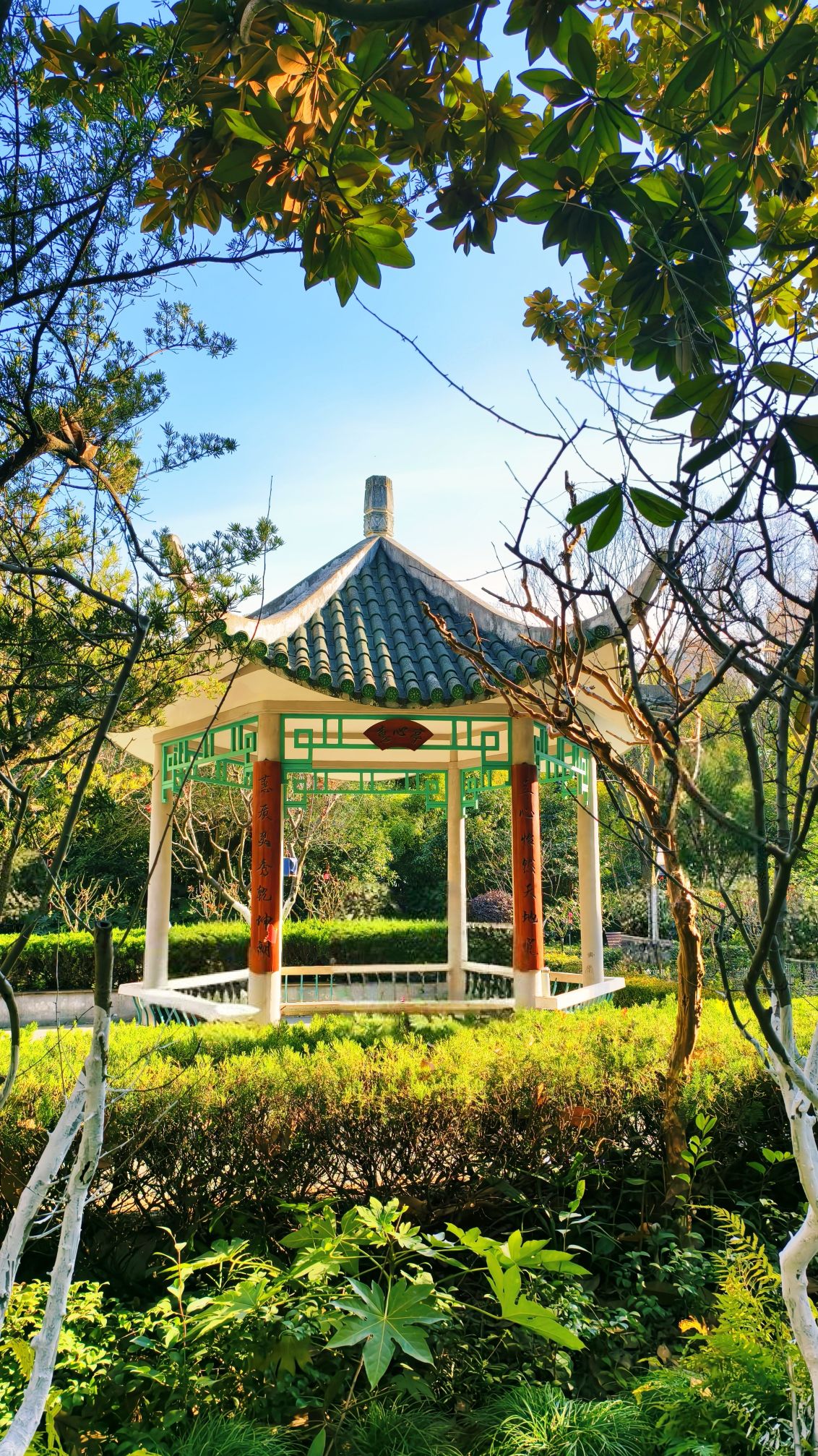 平凉公园旅行图片 2