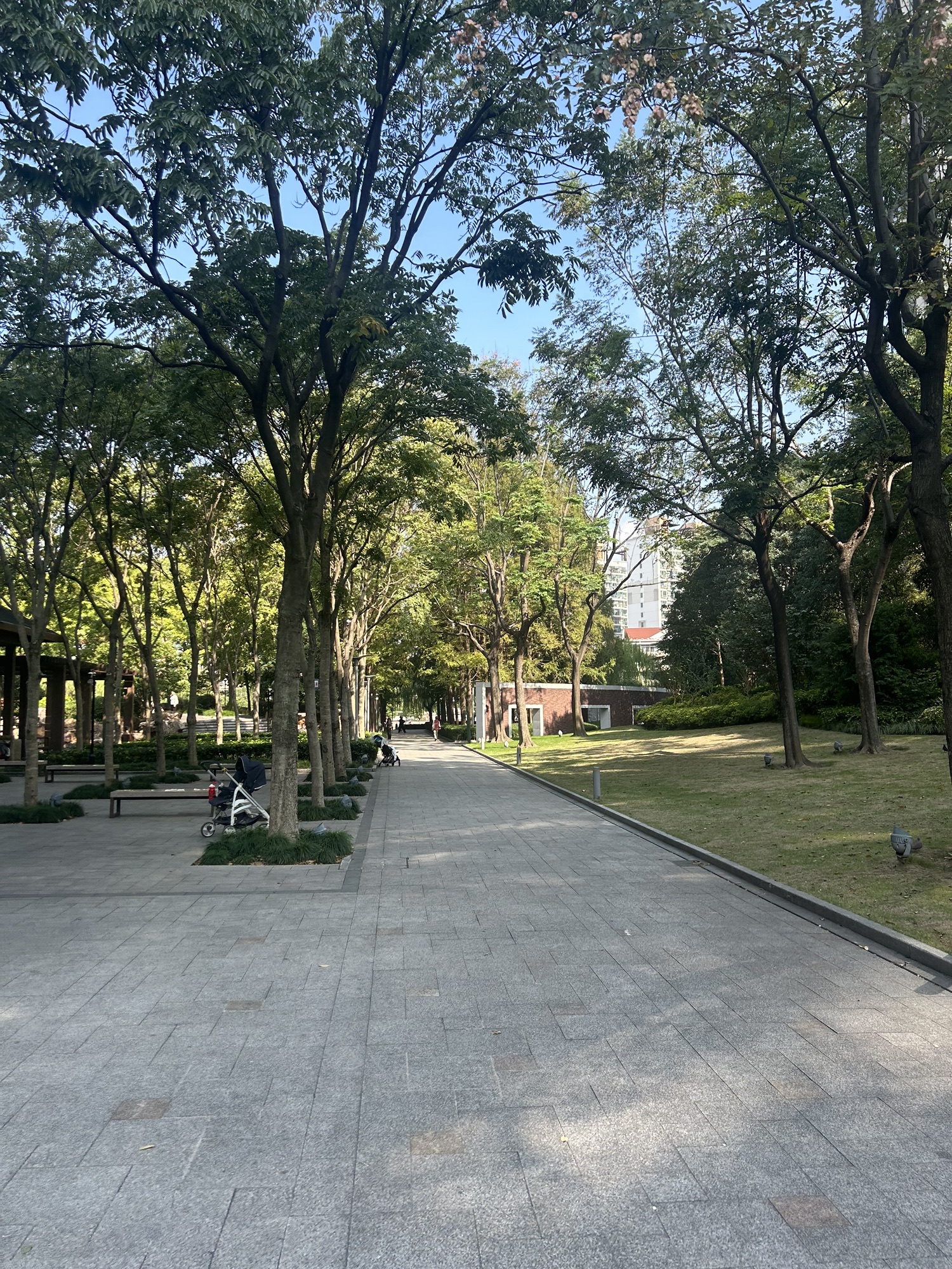 虹桥河滨公园旅行图片 3
