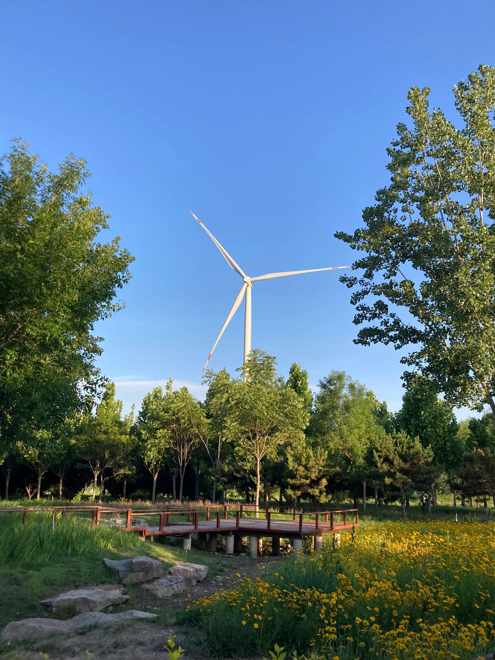 虹桥河滨公园旅行图片 2
