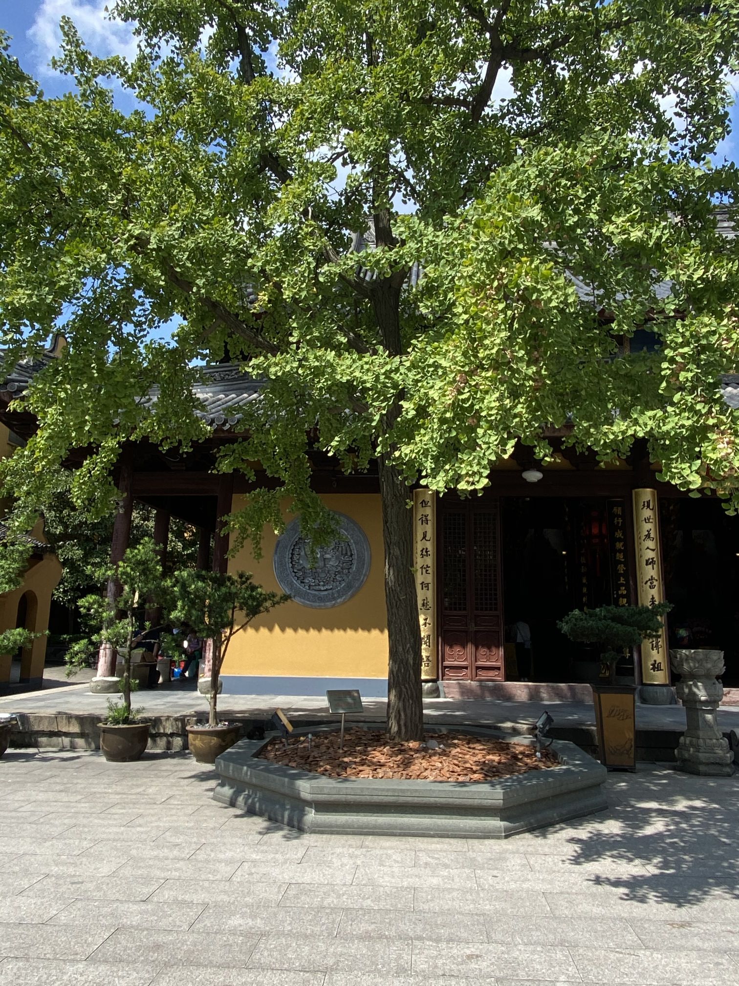 龙华塔旅行图片 2