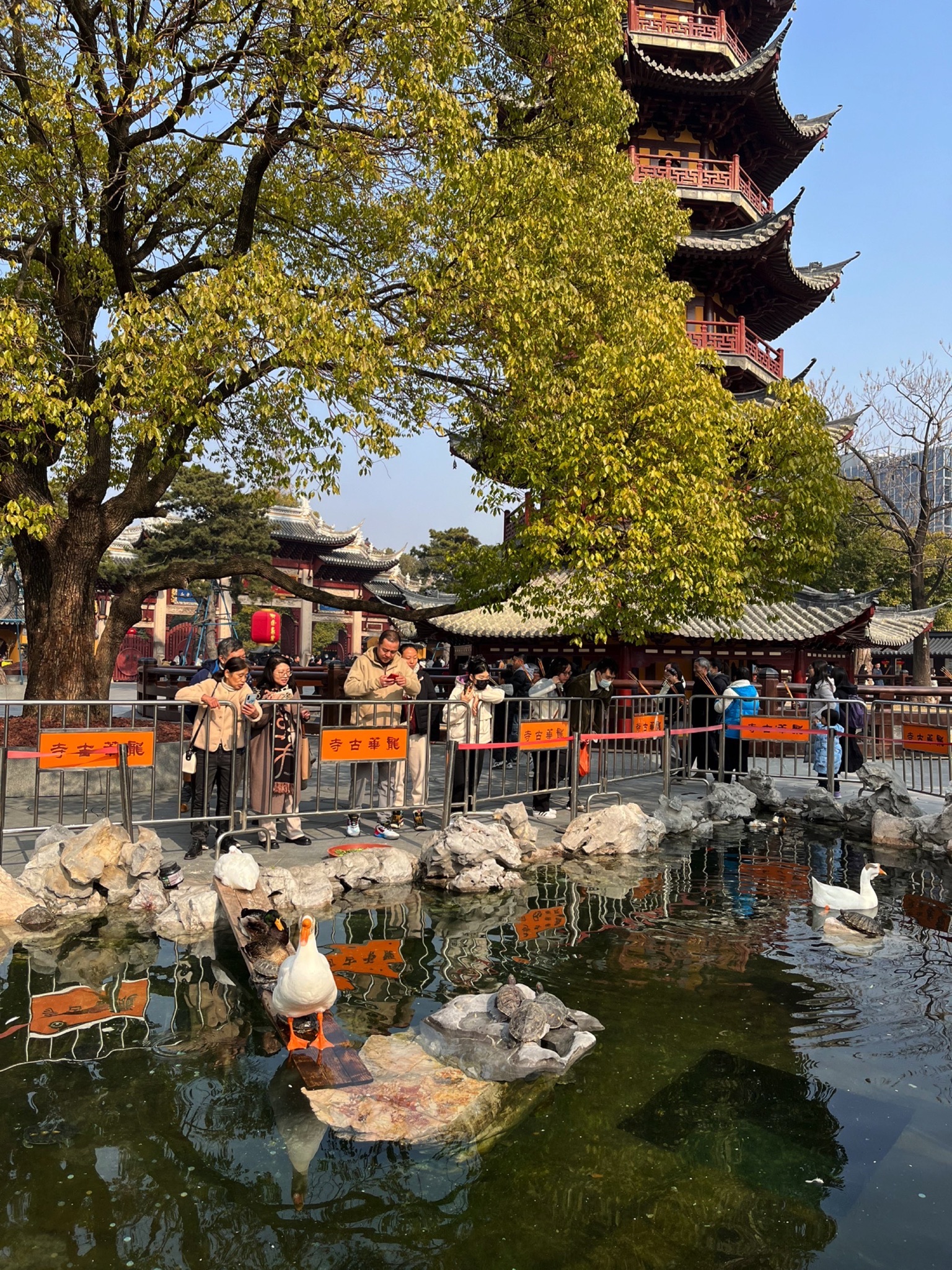 龙华塔旅行图片 2