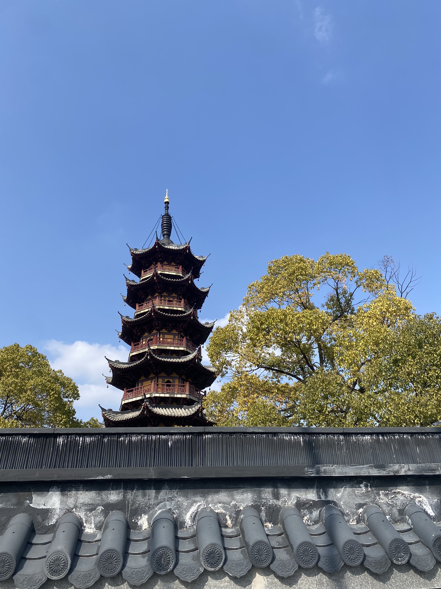 龙华塔旅行图片 1