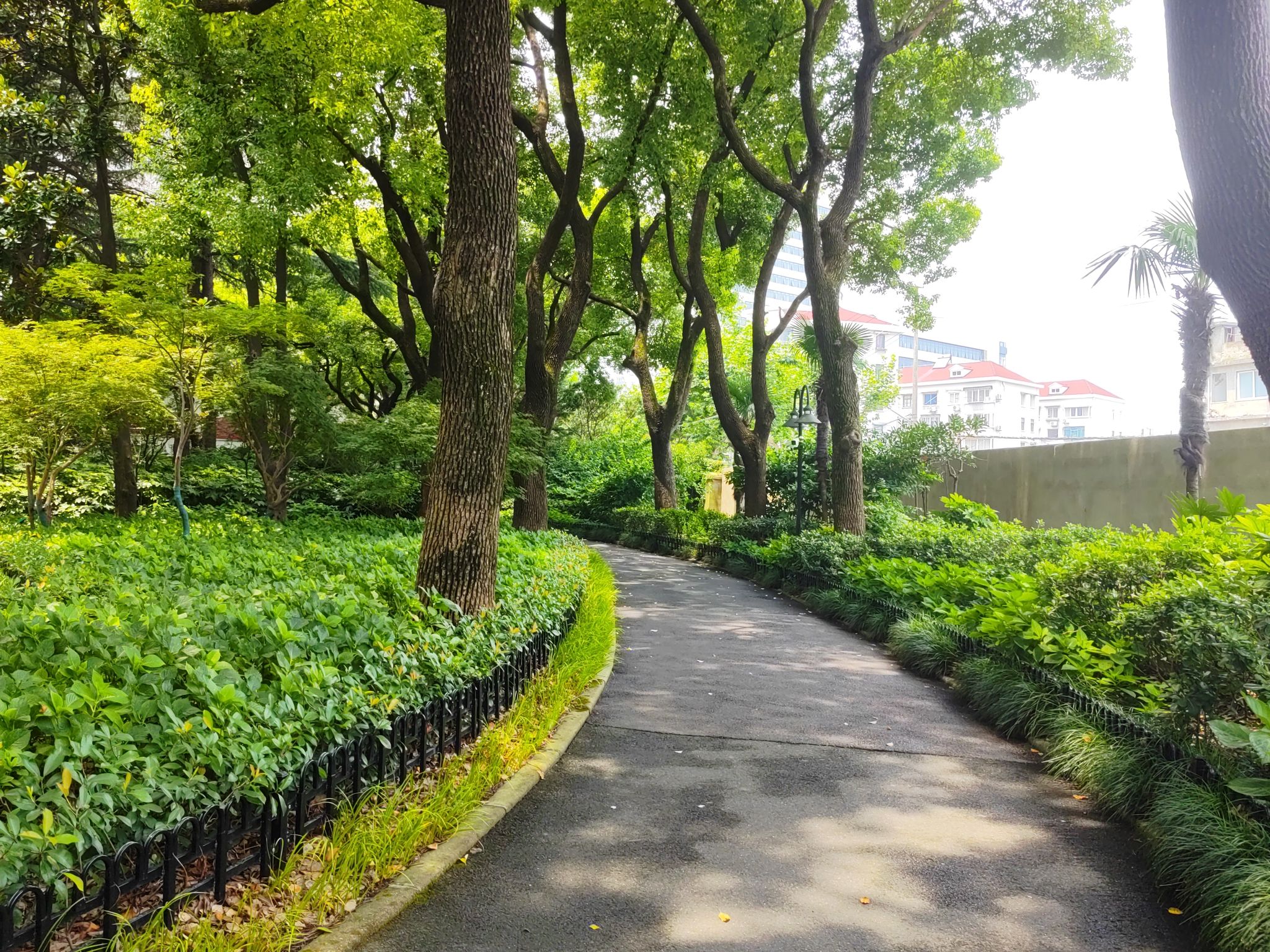 波阳公园旅行图片 2