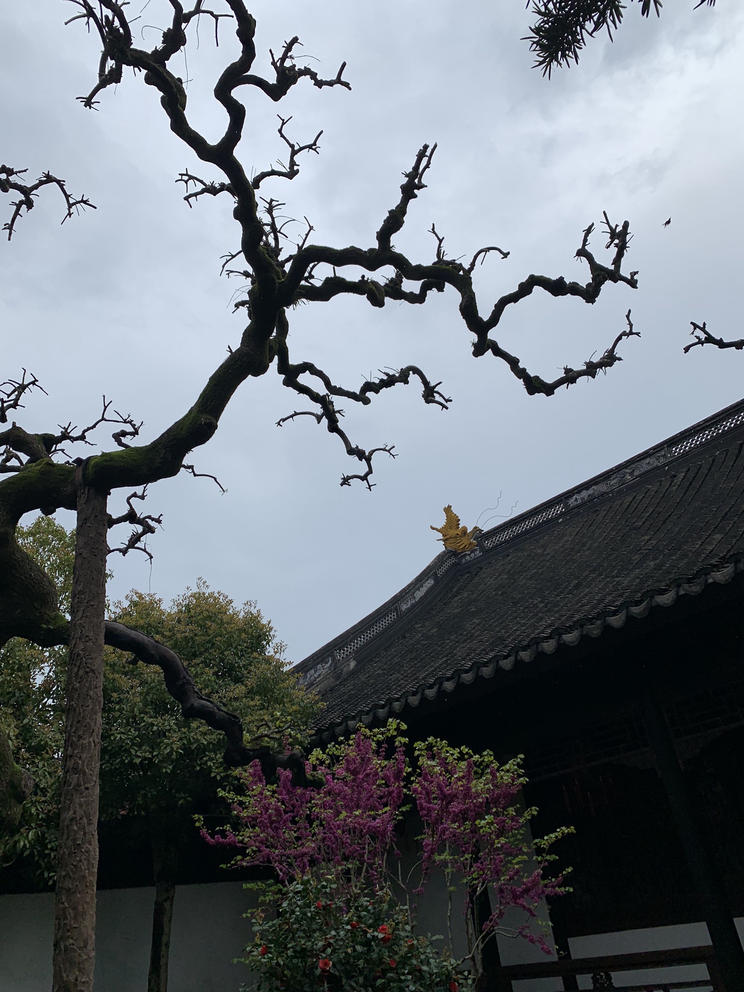 曲水园旅行图片 1