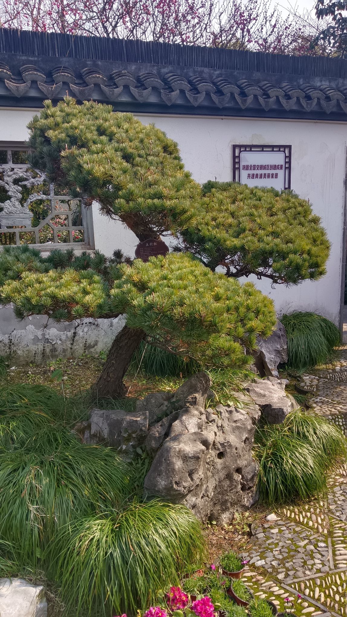 曲水园旅行图片 2