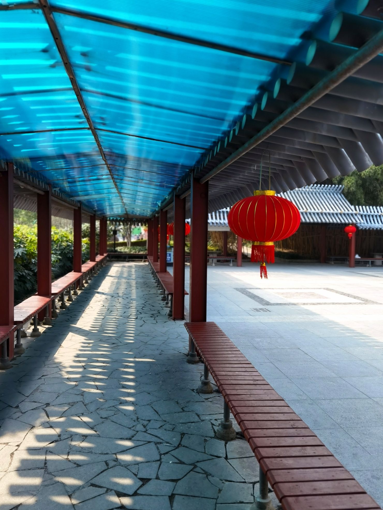 长青公园旅行图片 3