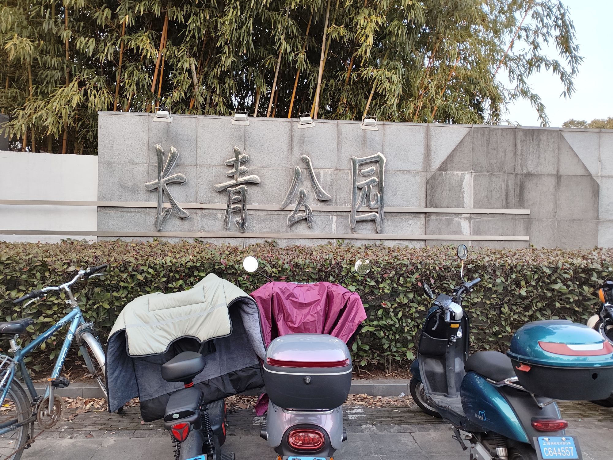 长青公园旅行图片 1