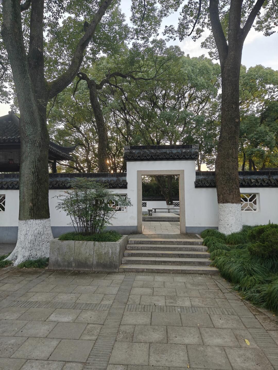 莘庄公园旅行图片 1