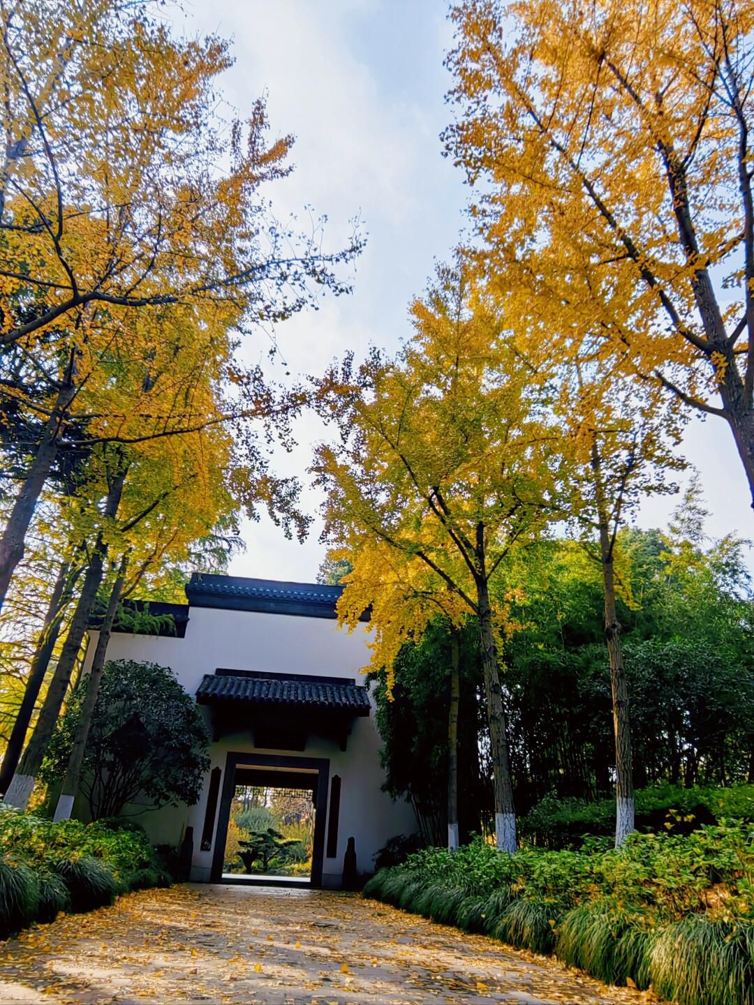莘庄公园旅行图片 3