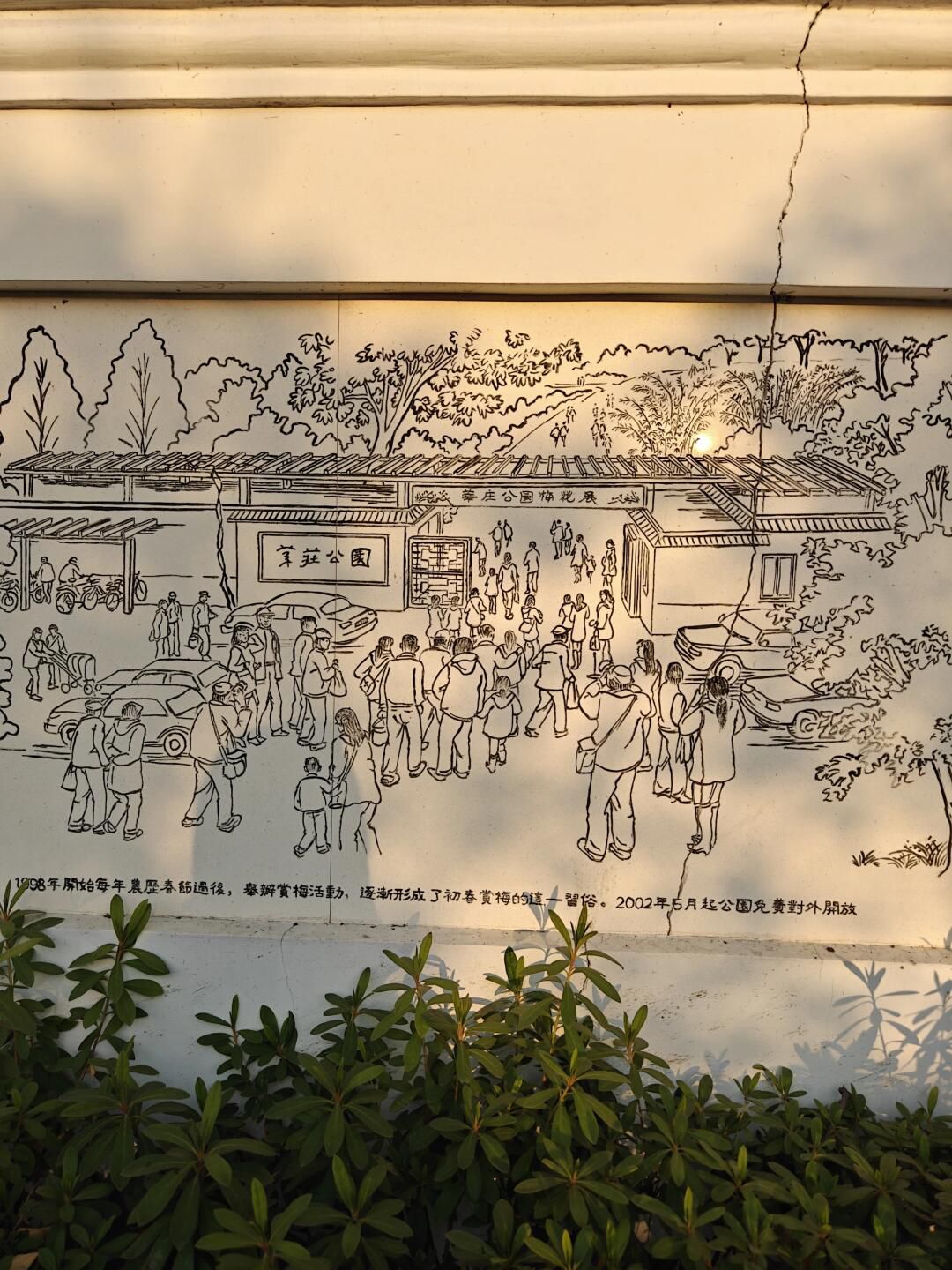 莘庄公园旅行图片 2