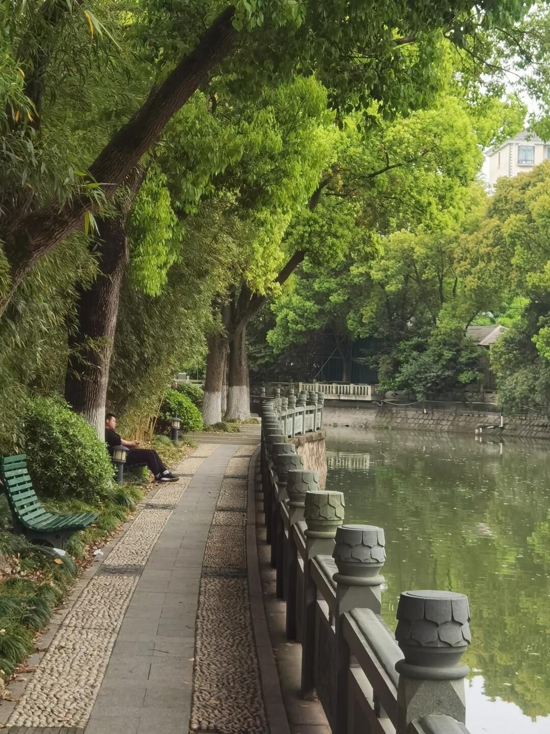莘庄公园旅行图片 2