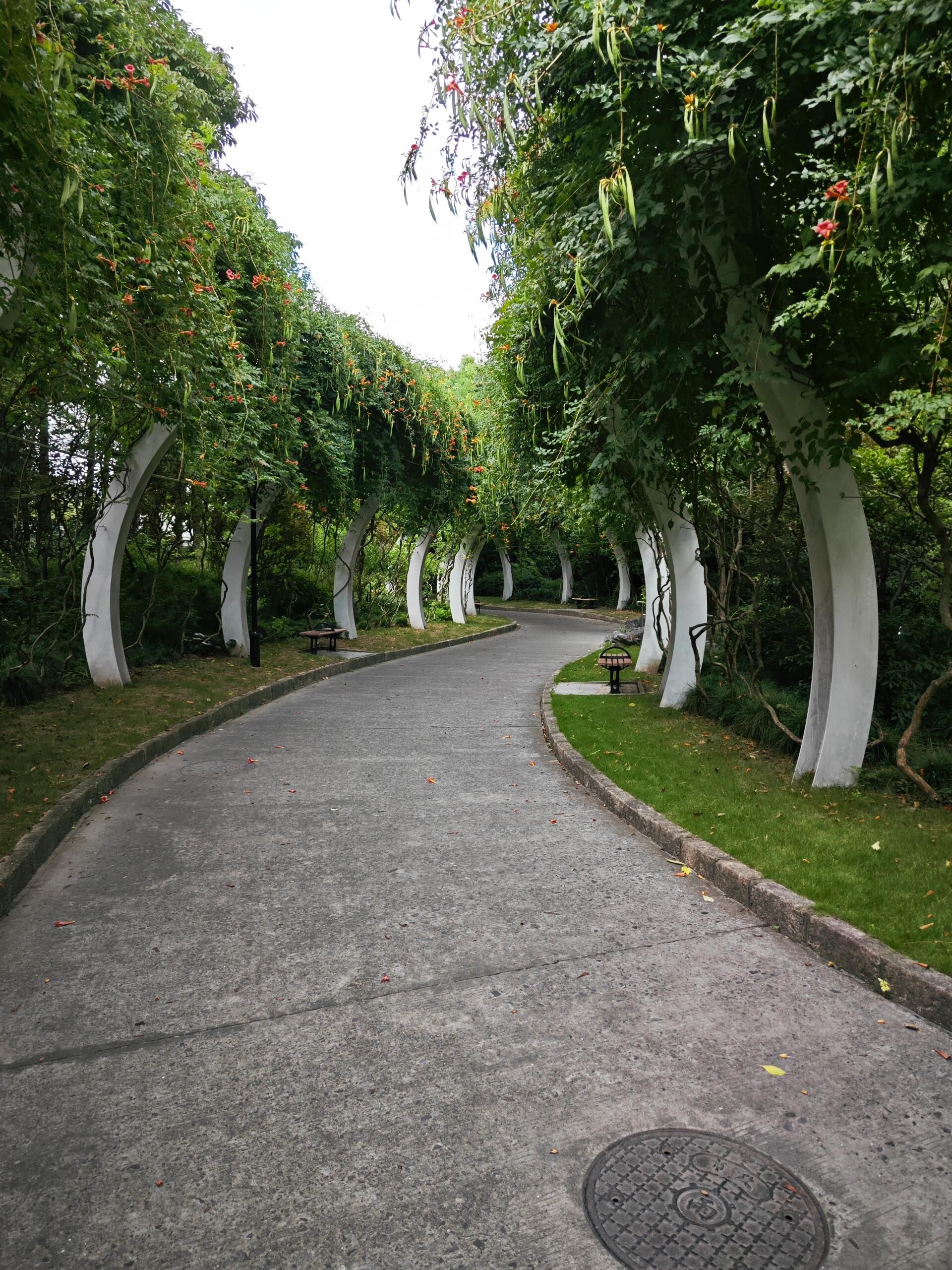 清涧公园旅行图片 3