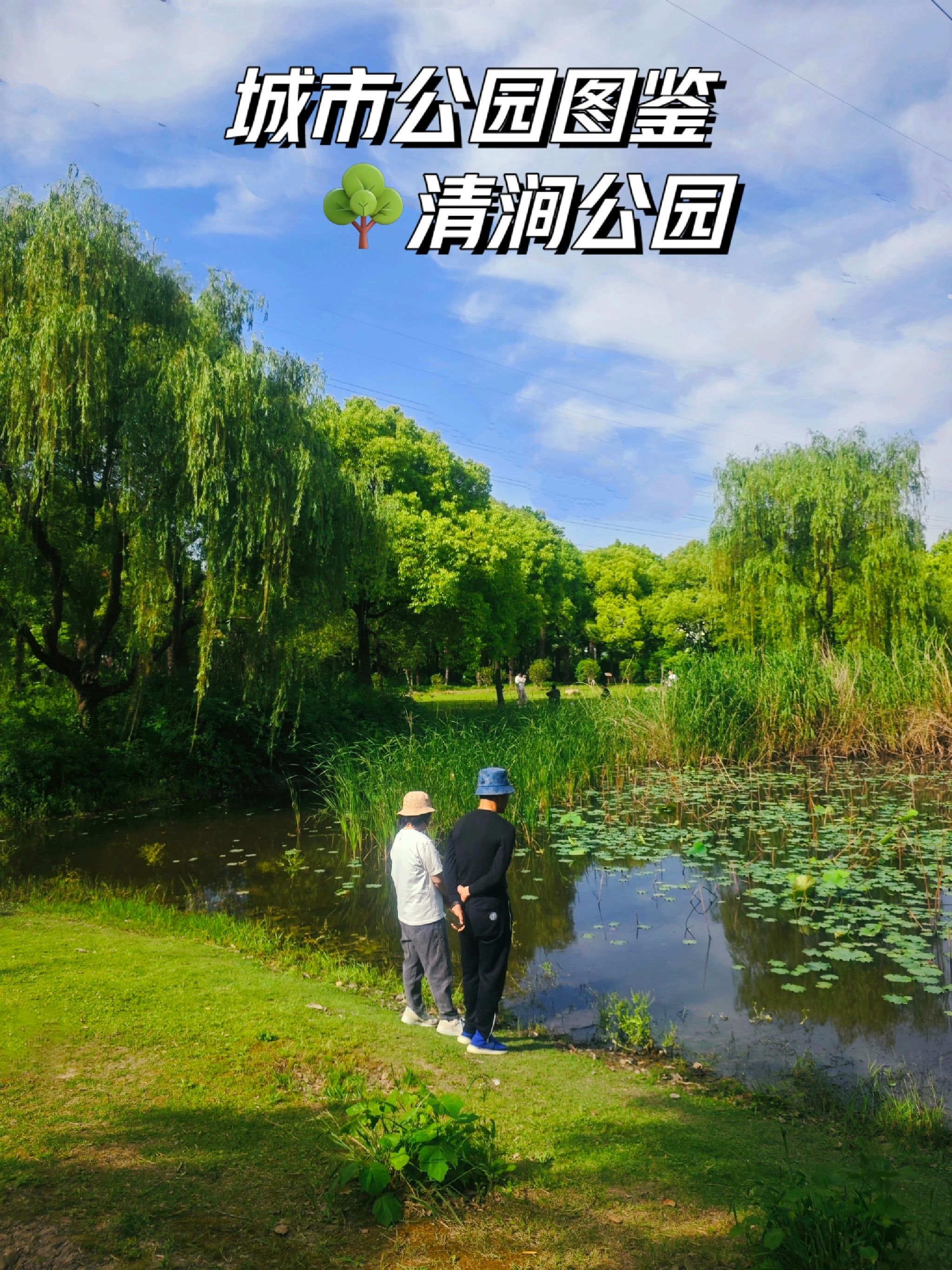 清涧公园旅行图片 1