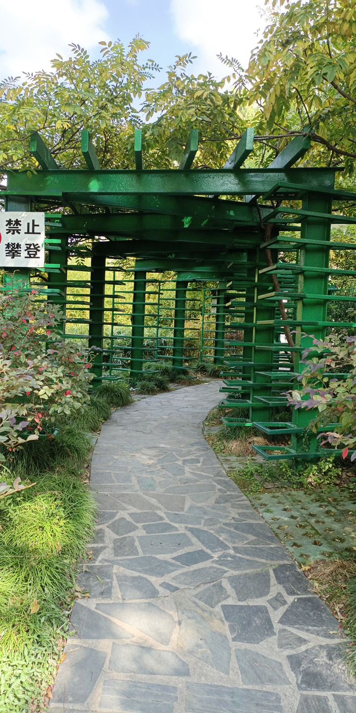 清涧公园旅行图片 1