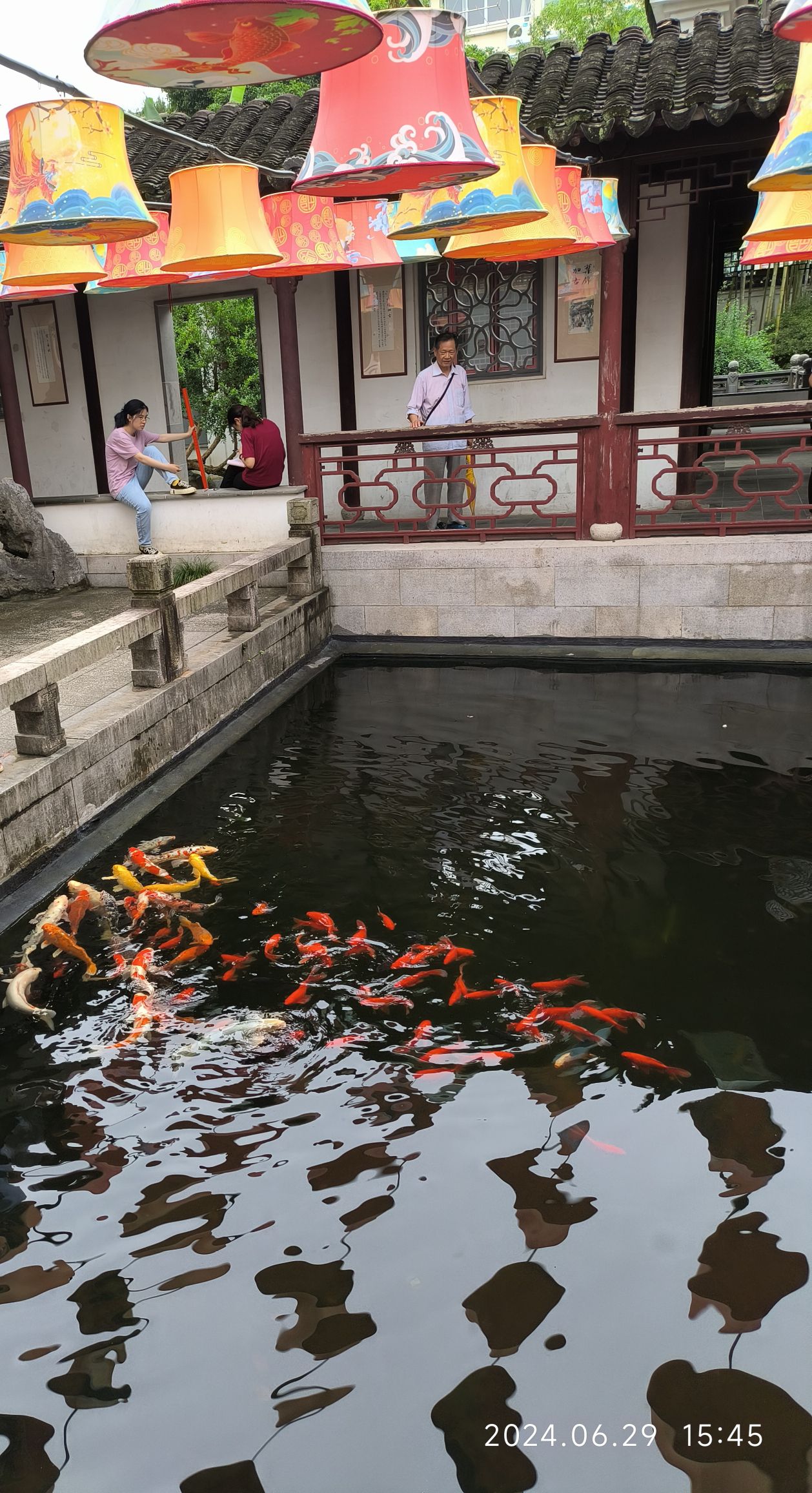 上海古猗园旅行图片 2