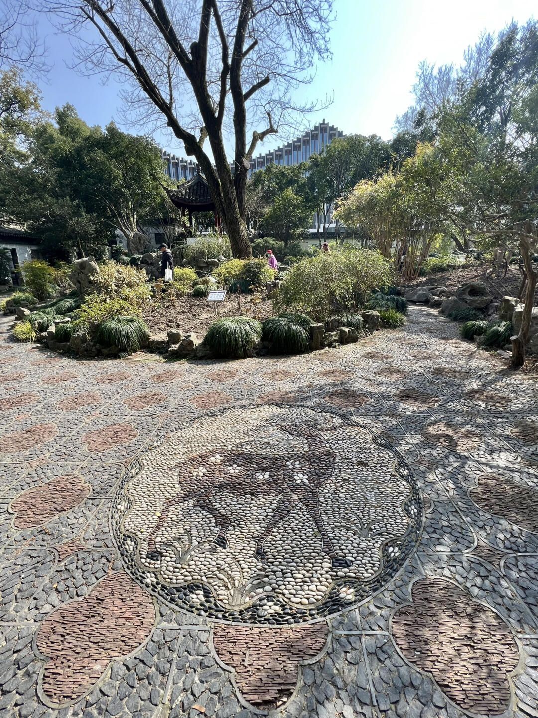 上海醉白池公园旅行图片 3