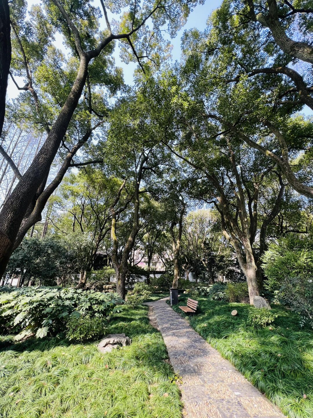 上海醉白池公园旅行图片 3