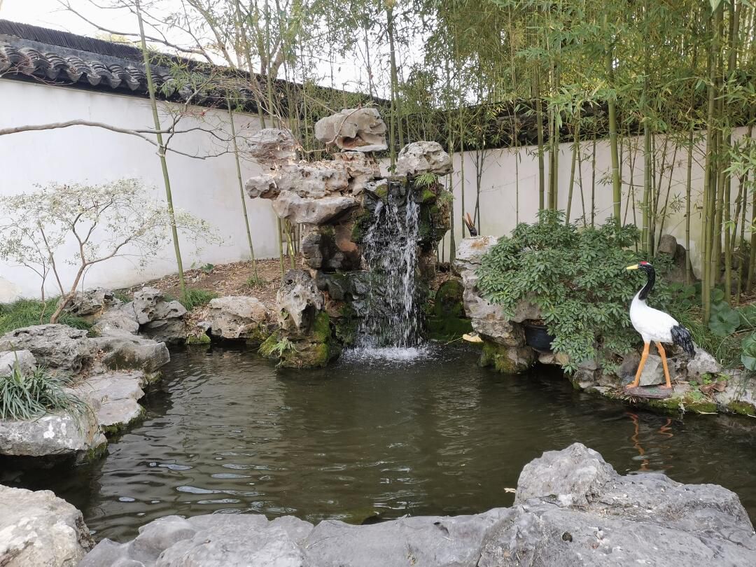 上海醉白池公园旅行图片 1