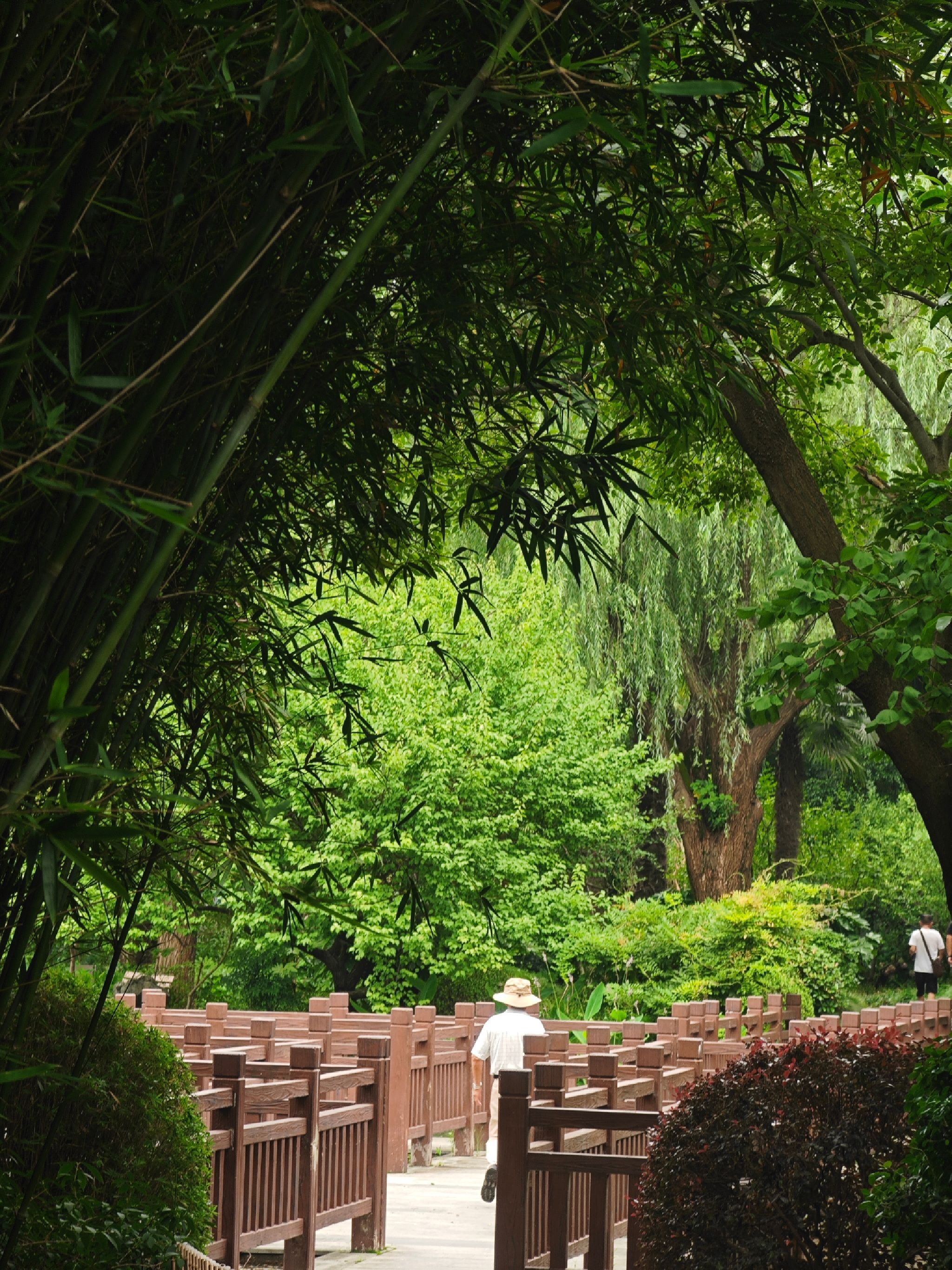 永清苑旅行图片