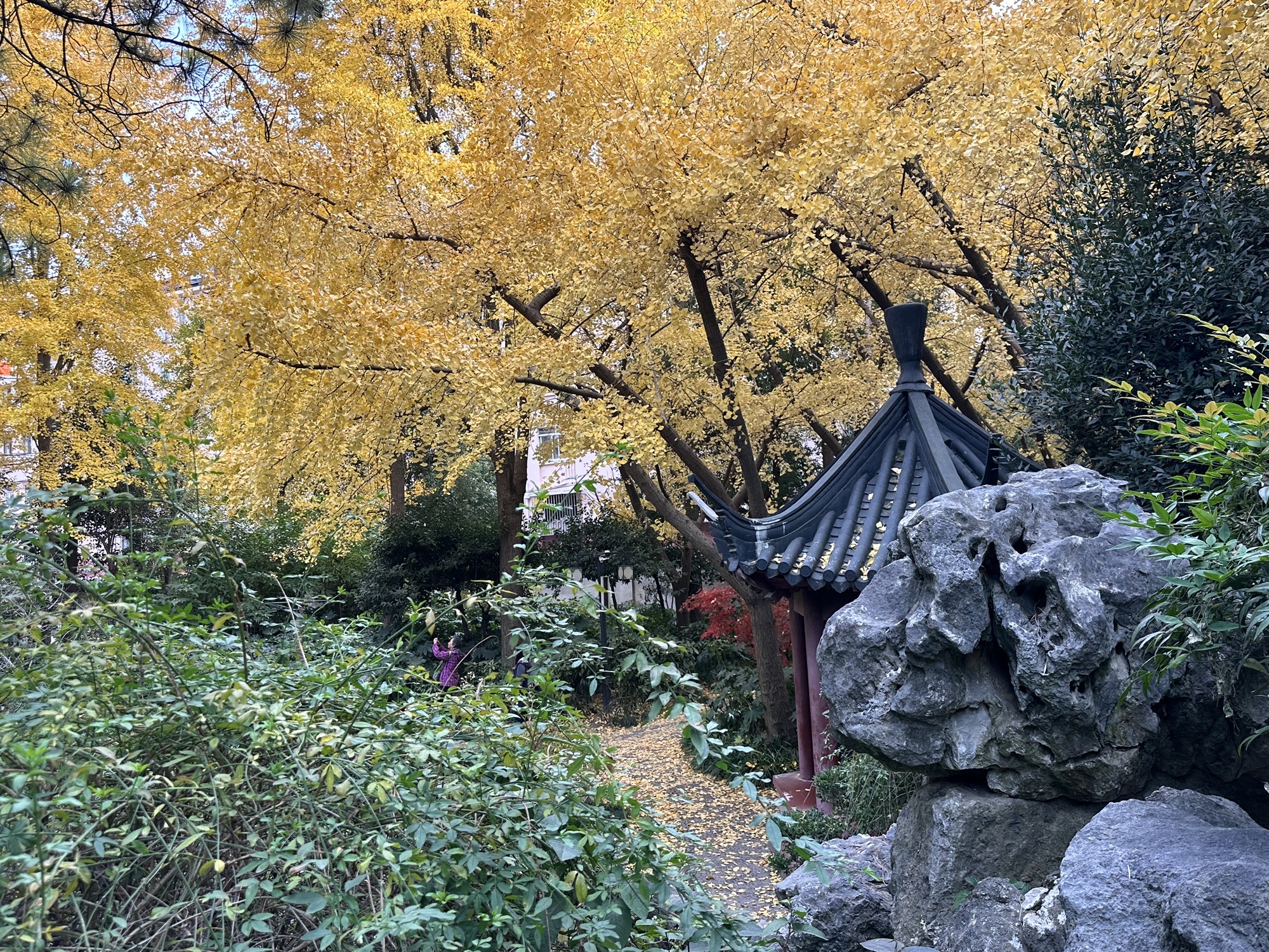 内江公园