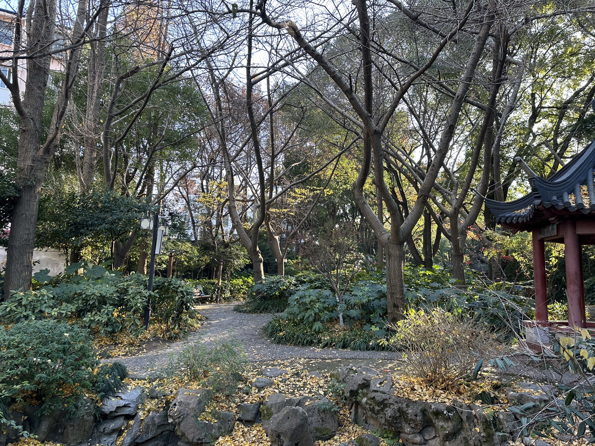 内江公园旅行图片 1