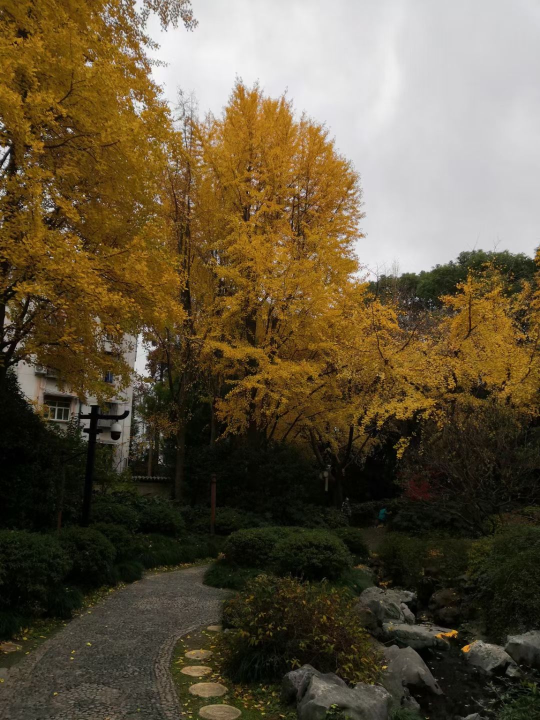 内江公园旅行图片 1