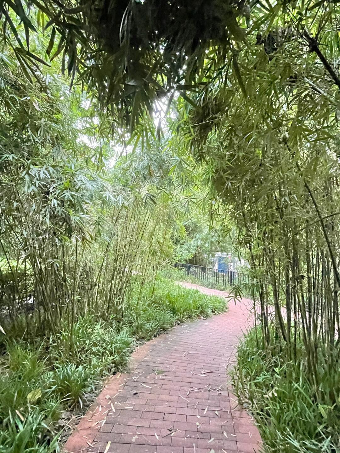 江浦公园旅行图片 3