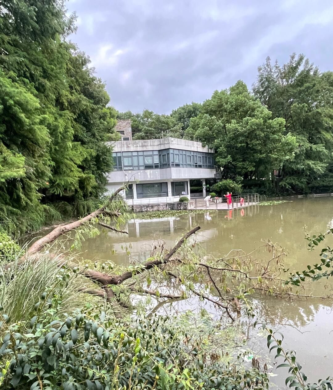 江浦公园旅行图片 2