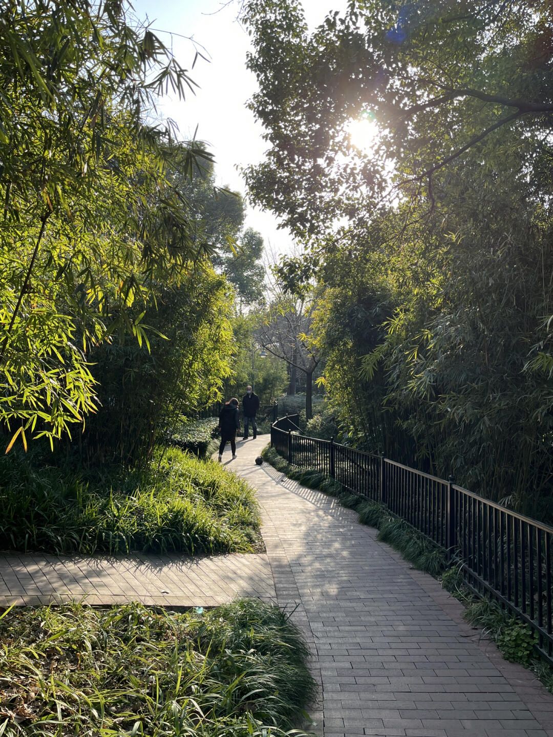 江浦公园旅行图片 3