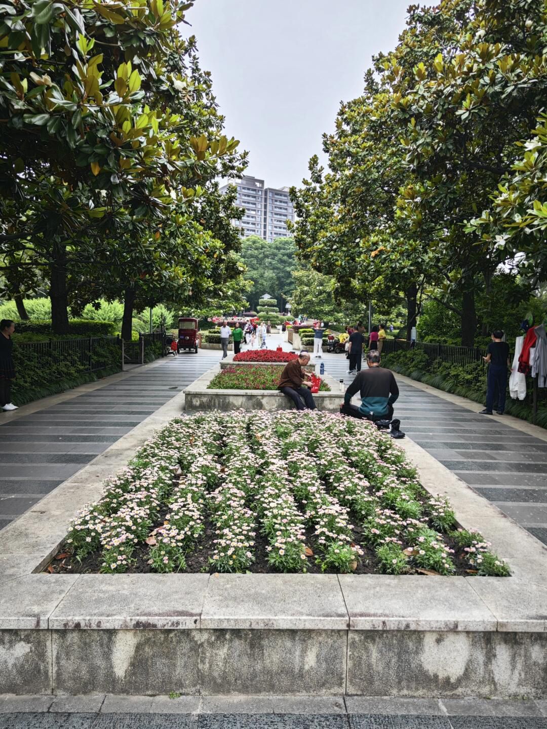 江浦公园旅行图片 2