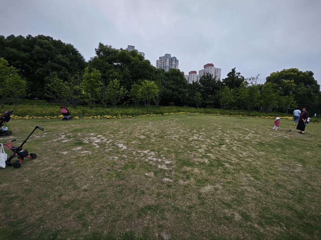 江浦公园旅行图片 1