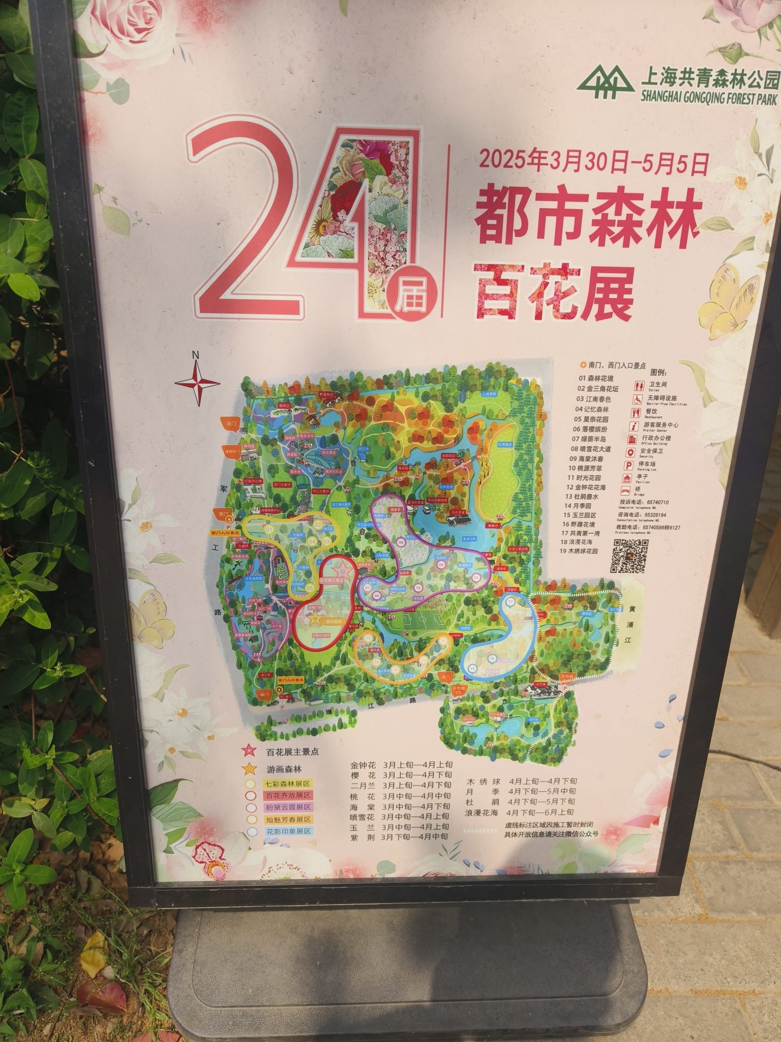 上海共青森林公园旅行图片 2