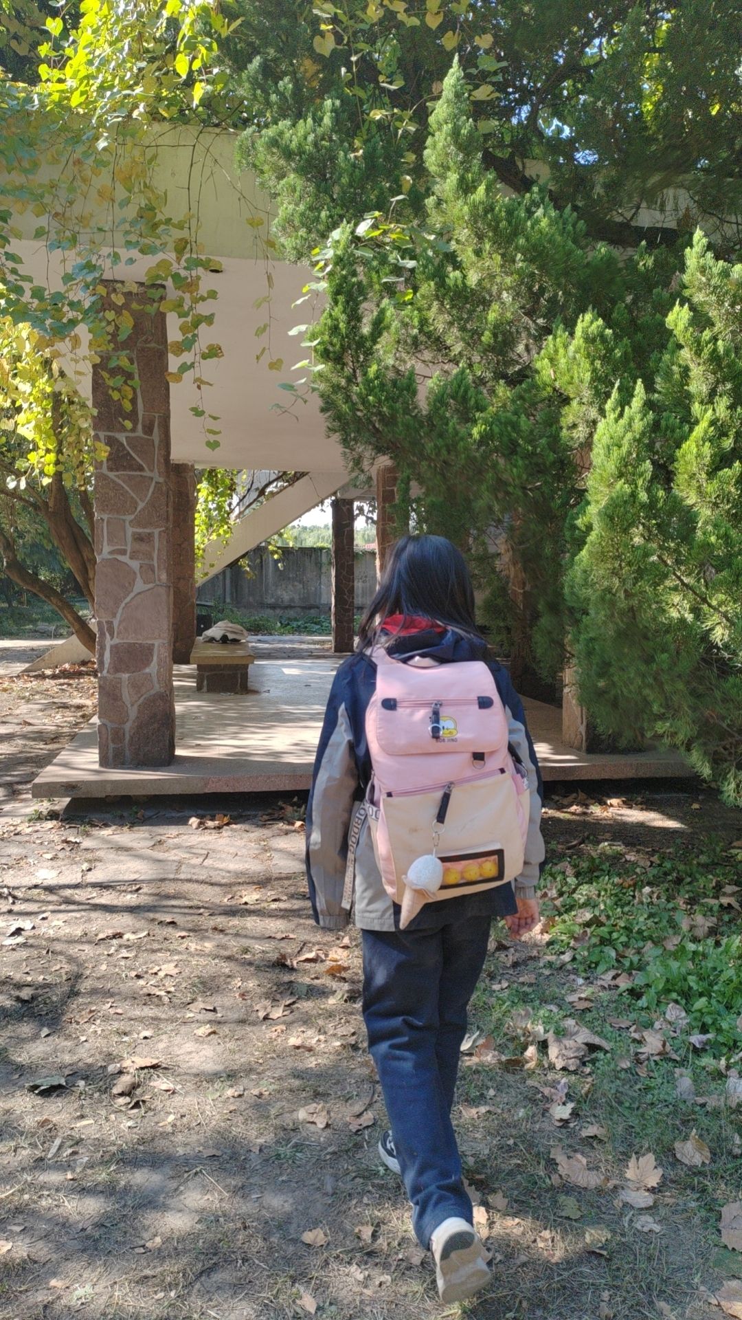 上海共青森林公园旅行图片 2