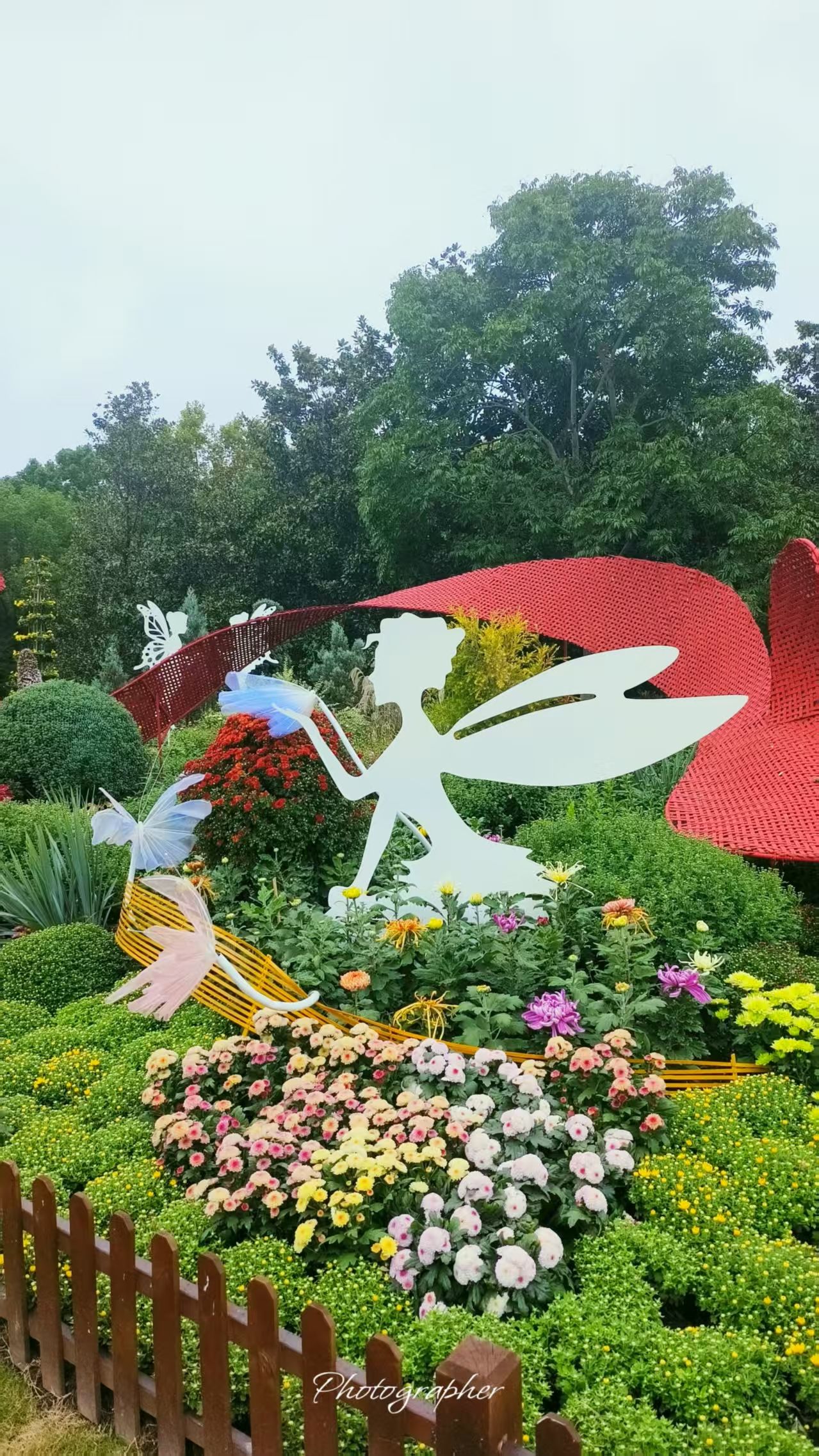 上海共青森林公园旅行图片 2